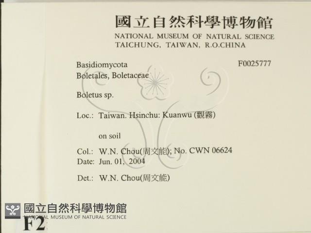 登錄號:F0025777藏品圖，第2張