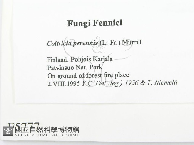 登錄號:F0005777藏品圖，第2張