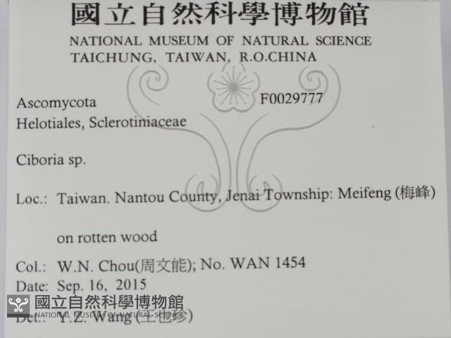 登錄號:F0029777藏品圖，第2張