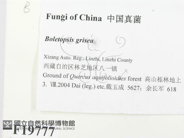 登錄號:F0019777藏品圖，第2張
