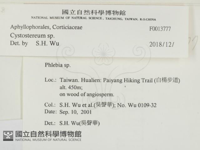 登錄號:F0013777藏品圖，第2張