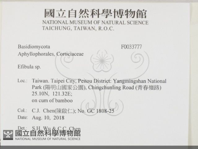 登錄號:F0033777藏品圖，第2張