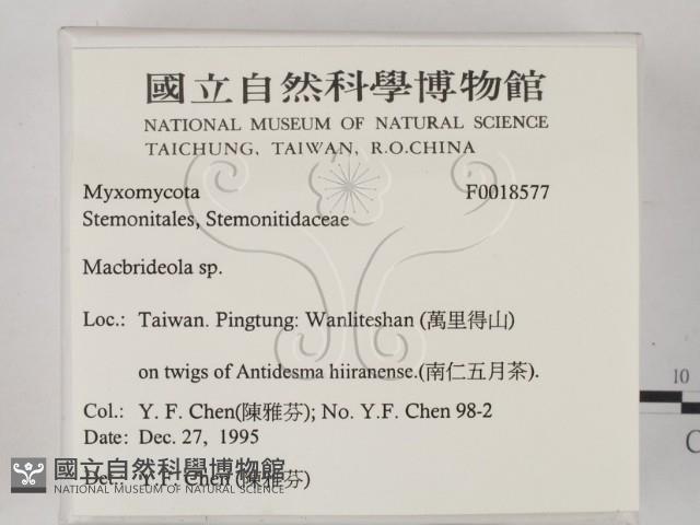 登錄號:F0018577藏品圖，第2張