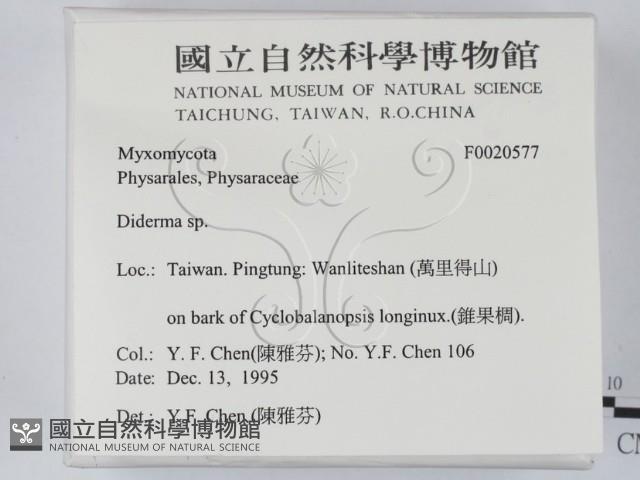 登錄號:F0020577藏品圖，第2張
