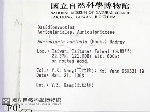 登錄號:F0000577藏品圖，第2張