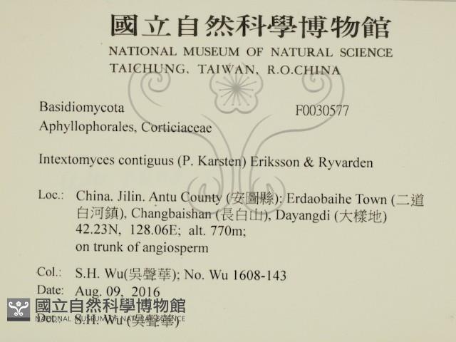 登錄號:F0030577藏品圖，第2張