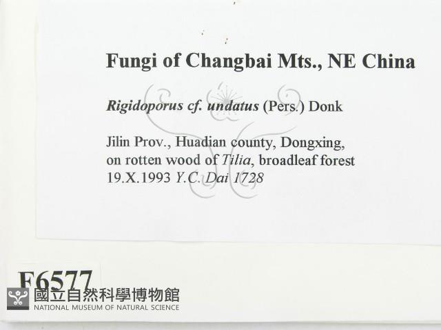 登錄號:F0006577藏品圖，第2張