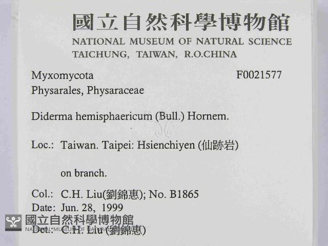 登錄號:F0021577藏品圖，第2張