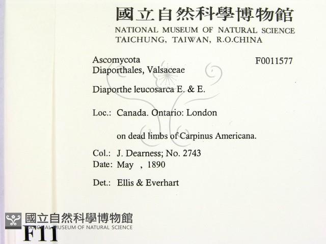 登錄號:F0011577藏品圖，第2張