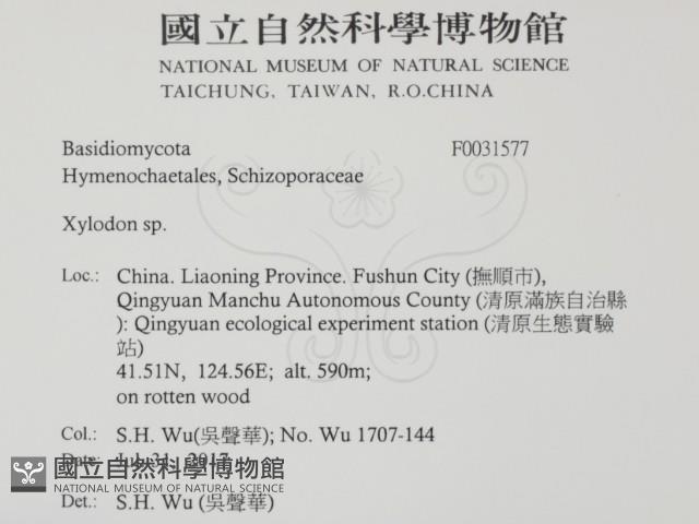 登錄號:F0031577藏品圖，第2張