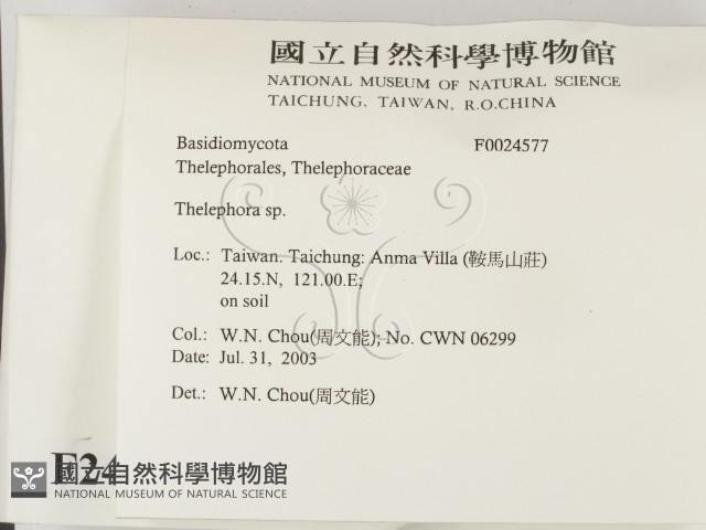 革菌屬藏品圖，第2張