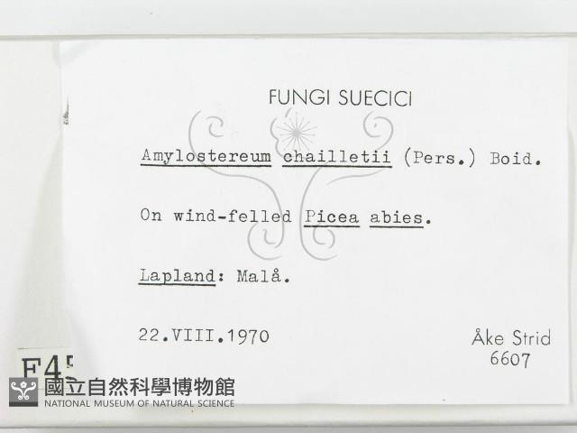 登錄號:F0004577藏品圖，第2張