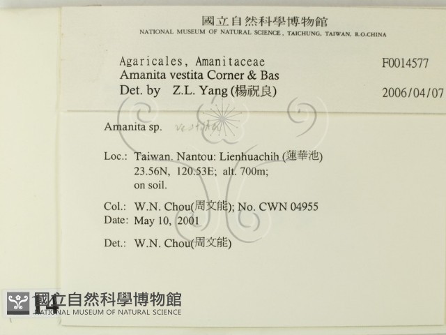 登錄號:F0014577藏品圖，第2張