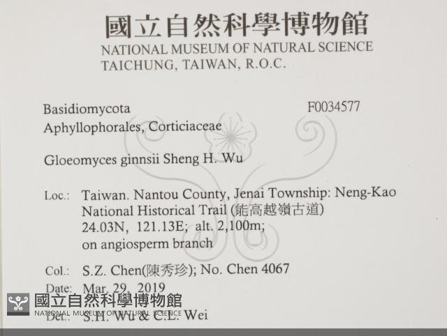 登錄號:F0034577藏品圖，第2張