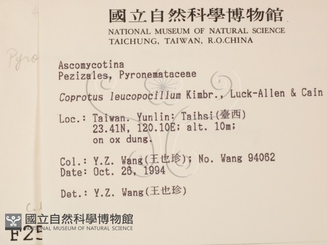 登錄號:F0002577藏品圖，第2張