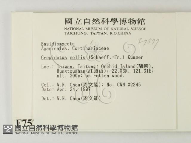 登錄號:F0007577藏品圖，第2張