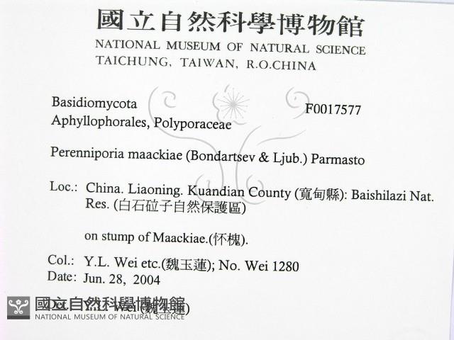 登錄號:F0017577藏品圖，第2張