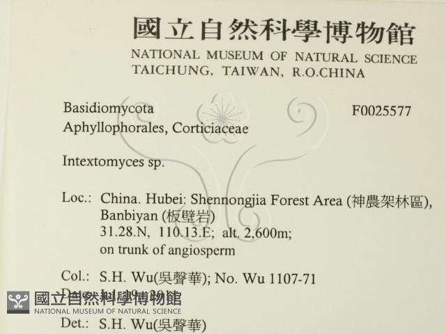 登錄號:F0025577藏品圖，第2張