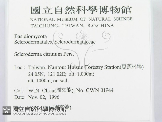 登錄號:F0005577藏品圖，第2張
