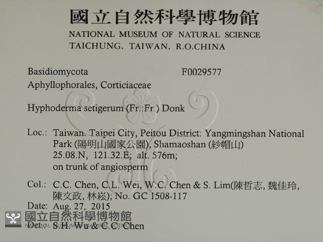 剛毛絲皮菌藏品圖，第2張