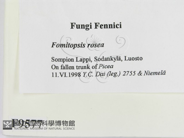 登錄號:F0009577藏品圖，第2張