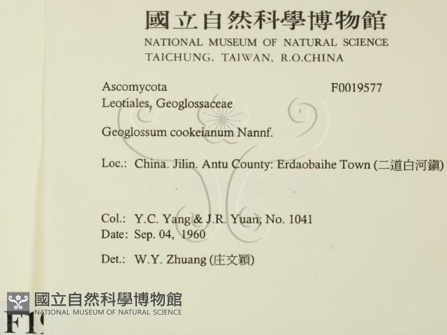 登錄號:F0019577藏品圖，第2張