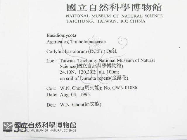 登錄號:F0003577藏品圖，第2張