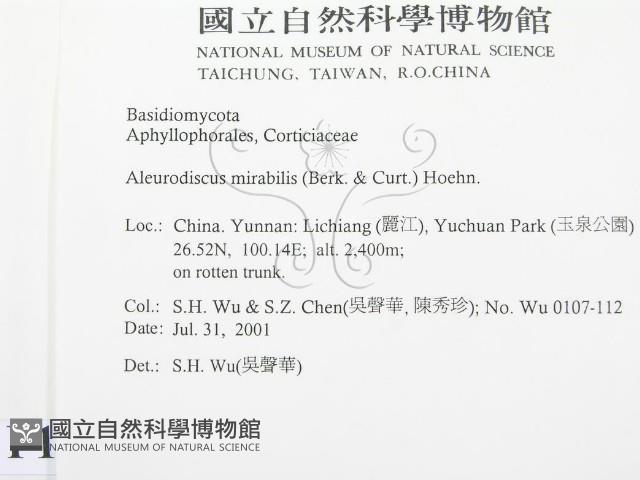 登錄號:F0013577藏品圖，第2張