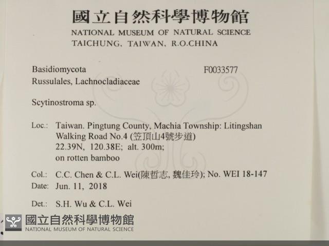 登錄號:F0033577藏品圖，第2張