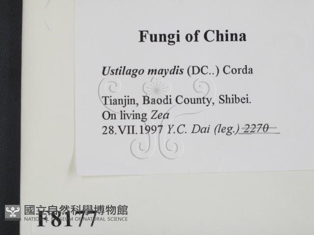 登錄號:F0008177藏品圖，第2張