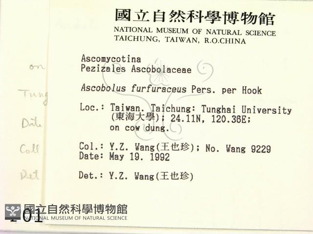 登錄號:F0000177藏品圖，第2張