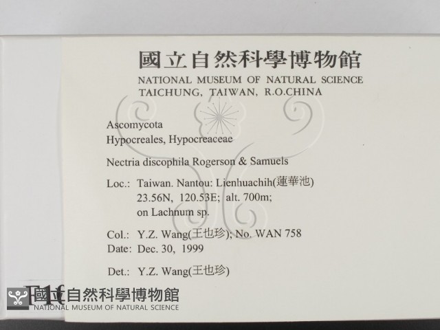 登錄號:F0010177藏品圖，第2張