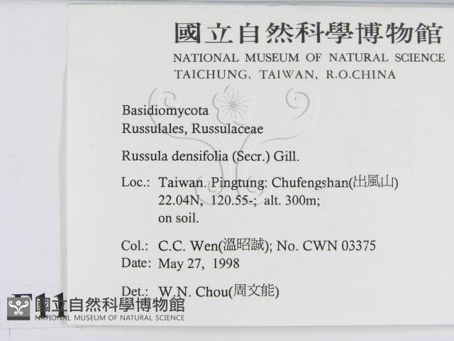 登錄號:F0011177藏品圖，第2張