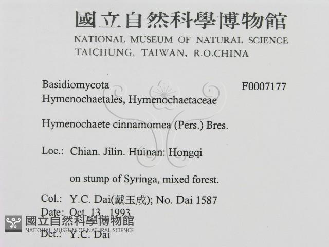 登錄號:F0007177藏品圖，第2張