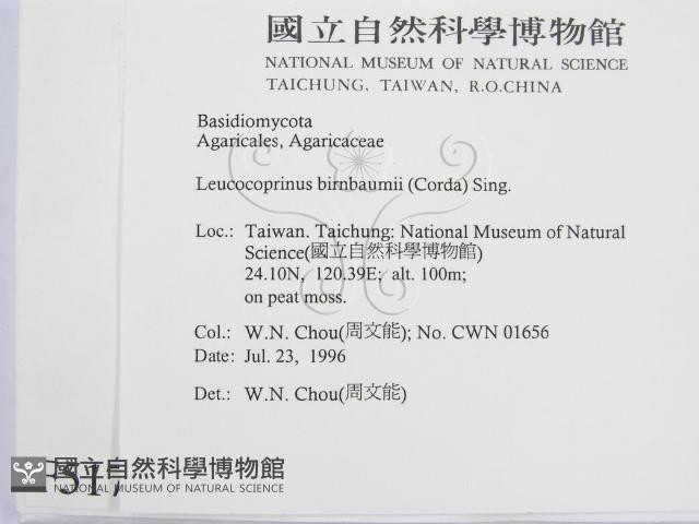 登錄號:F0005177藏品圖，第2張