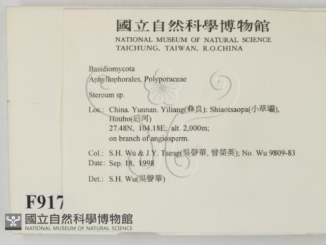 韌革菌屬藏品圖，第2張