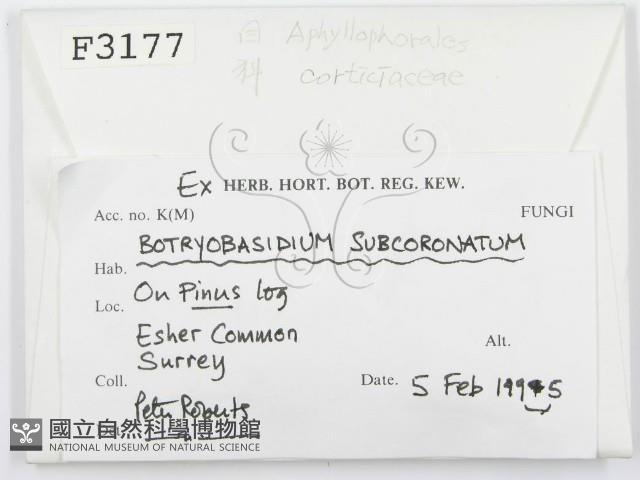 登錄號:F0003177藏品圖，第2張