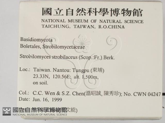 登錄號:F0013177藏品圖，第2張
