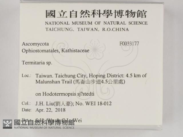 登錄號:F0033177藏品圖，第2張