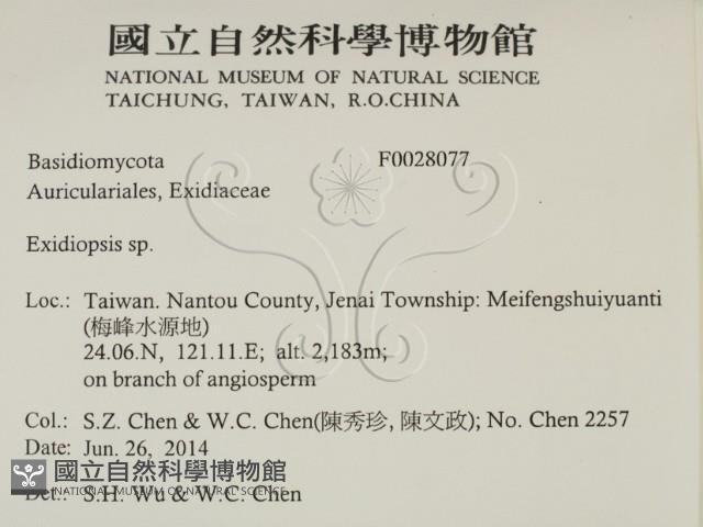 登錄號:F0028077藏品圖，第2張