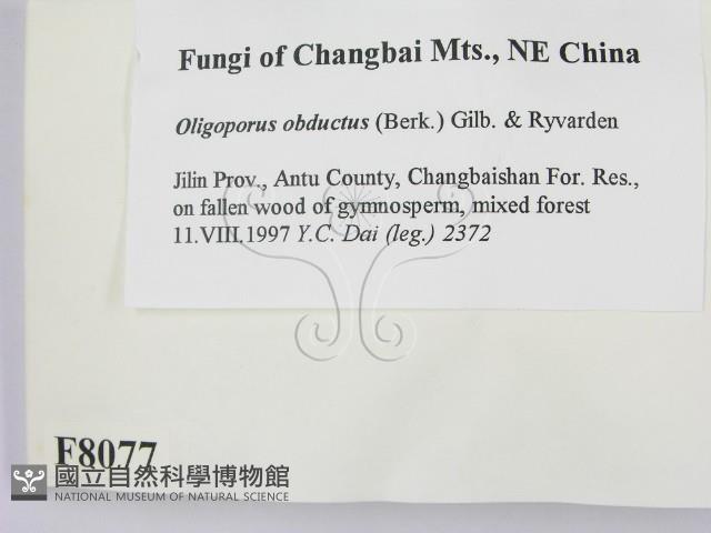 登錄號:F0008077藏品圖，第2張