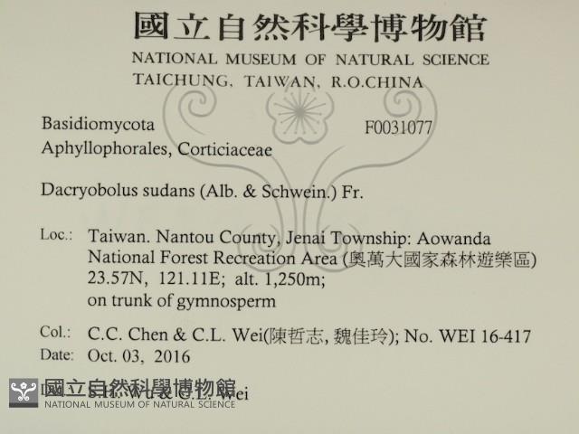 登錄號:F0031077藏品圖，第2張