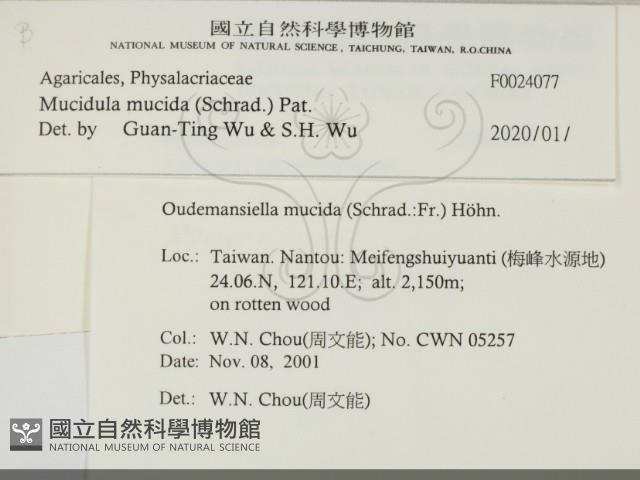 登錄號:F0024077藏品圖，第2張