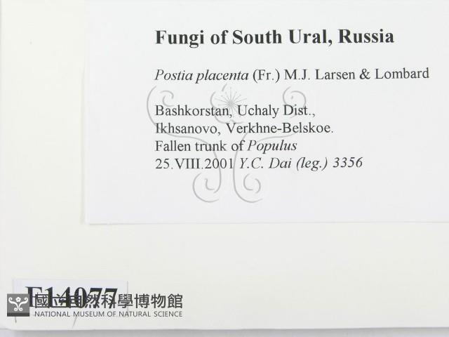 登錄號:F0014077藏品圖，第2張