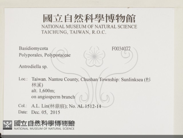 登錄號:F0034077藏品圖，第2張
