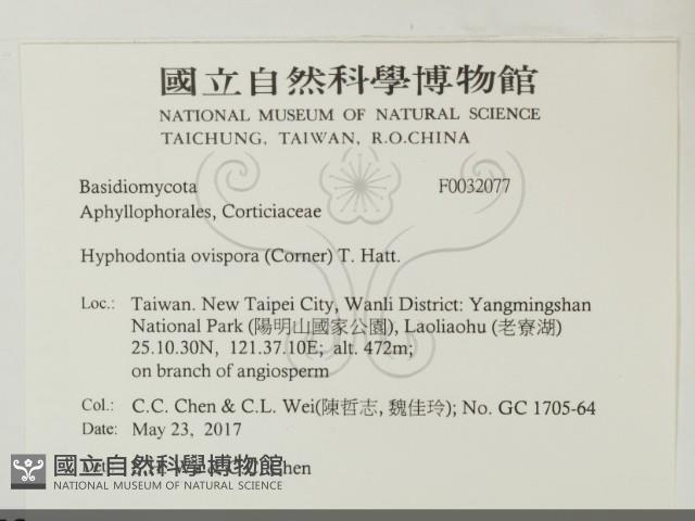 登錄號:F0032077藏品圖，第2張