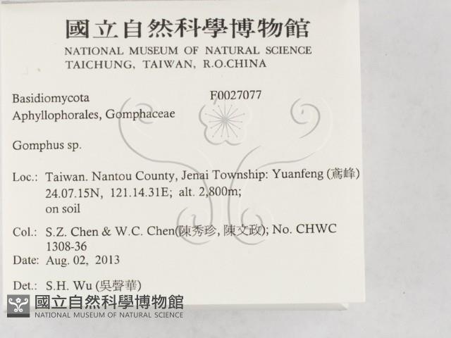 登錄號:F0027077藏品圖，第2張