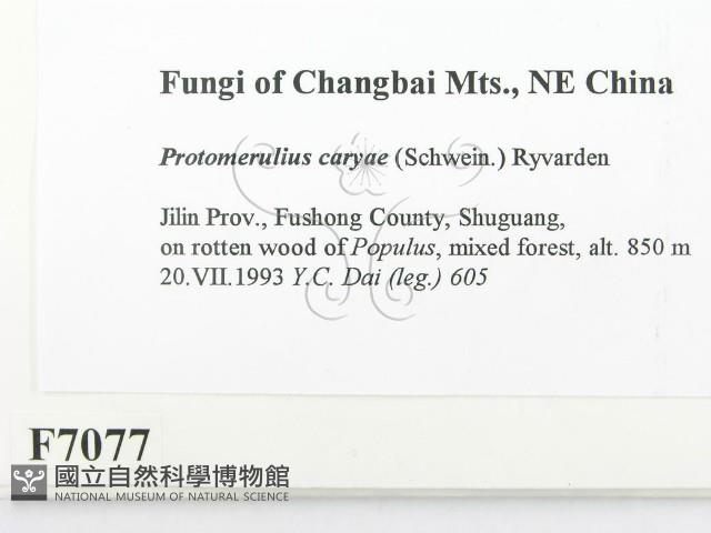 登錄號:F0007077藏品圖，第2張