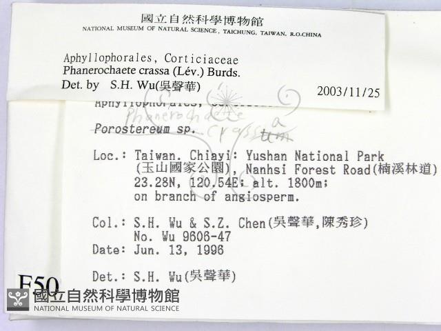 登錄號:F0005077藏品圖，第2張