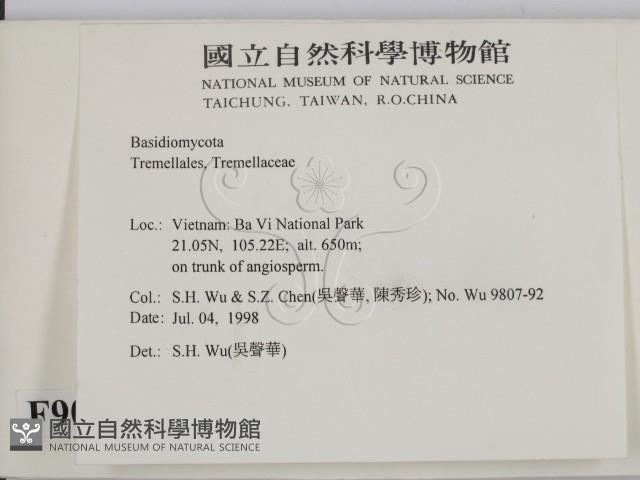 登錄號:F0009077藏品圖，第2張